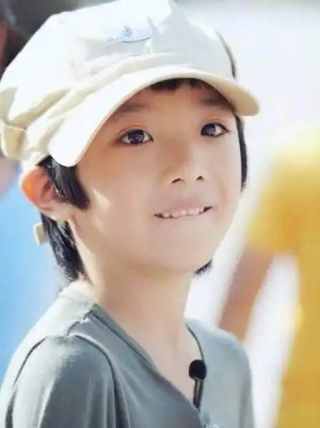 赵薇女儿,张柏芝儿子英语怪不得这么好,原来都在用这个方法