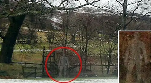 怀疑者们认定,这个人影显然是树叶和树枝的阴影混合成的.