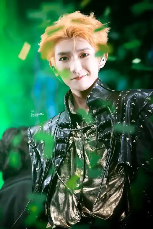 王源客厅狂欢巡演