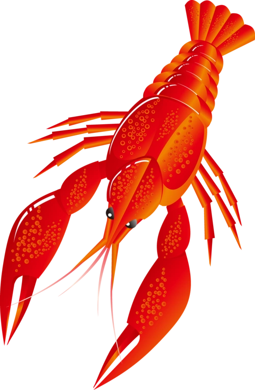 卡通小龙虾图片大全
