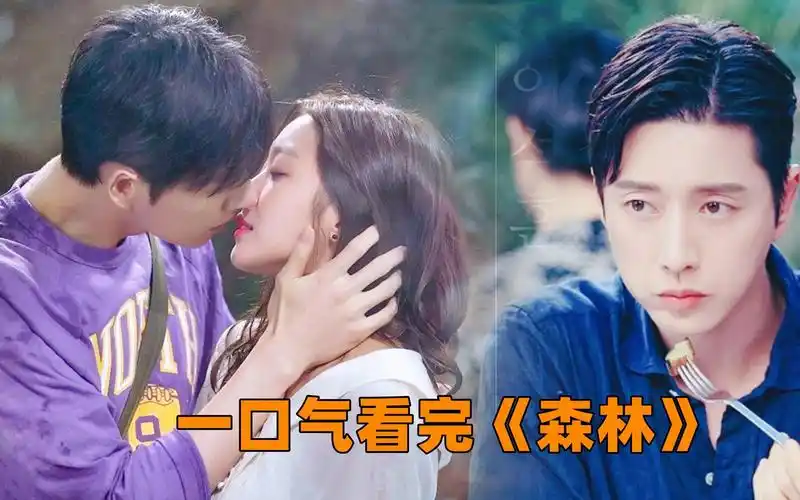 【洋橙】一口气看完韩剧《森林》全集!