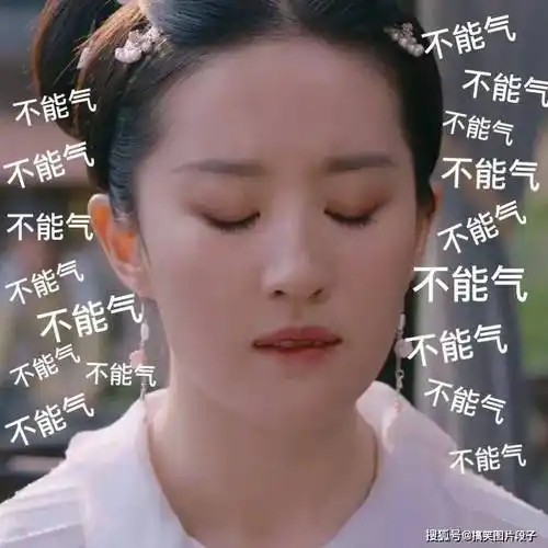 搞笑的生活箴言很火的梦华录表情包刘亦菲太美了吧