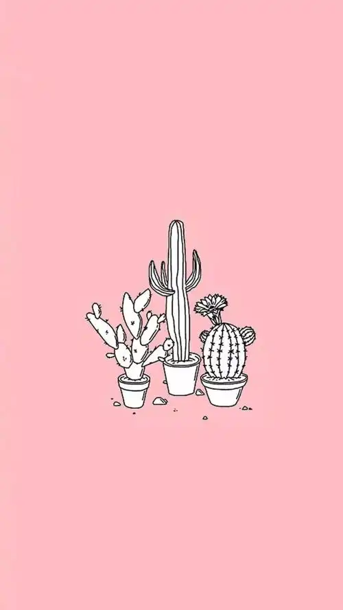 粉色壁纸 - 堆糖,美图壁纸兴趣社区