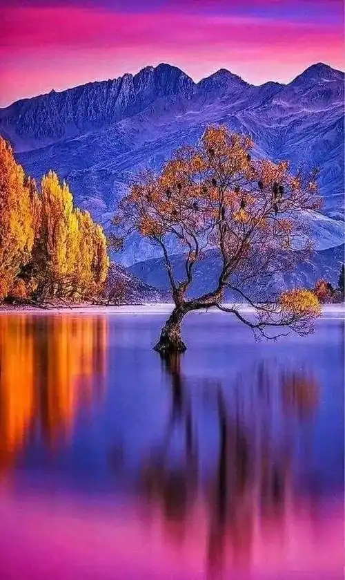 62幅大自然美景,如入仙境一般,令人心旷神怡