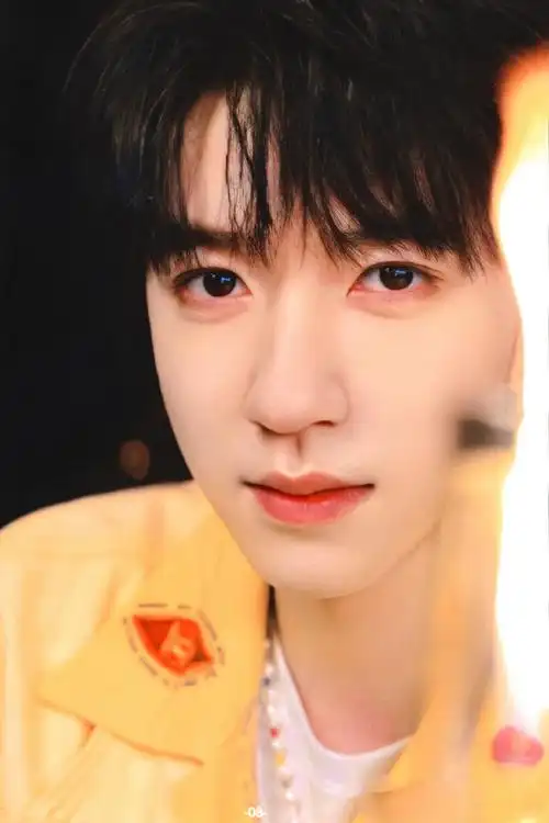 贺峻霖 画报颜值