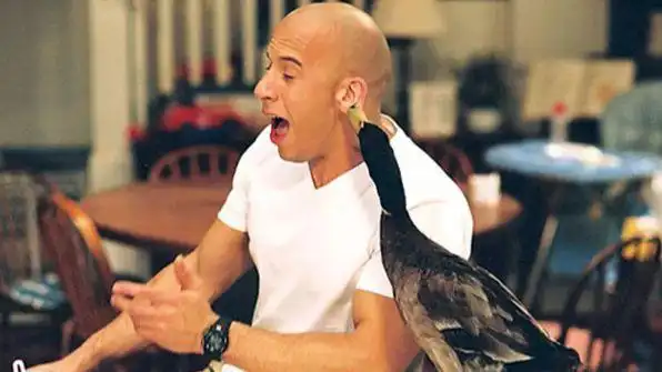 全程爆笑不止的十部美国喜剧电影每部都百看不厌