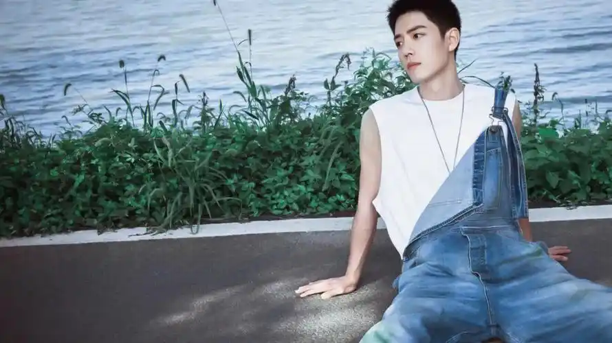 肖战电脑壁纸第四弹