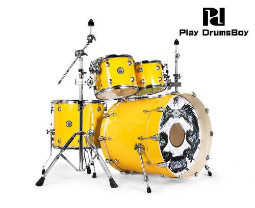 标准儿童乐器爵士鼓架子鼓pd系列龙系列playdrumsboy架子鼓