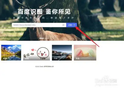 游戏/数码 电脑 > 电脑软件4 最后点击识图一下按钮,即可查询到图片的