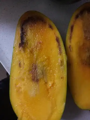 大青芒变成这样还能吃吗 里面那个黒黑的像豆沙一样的是什么东西啊