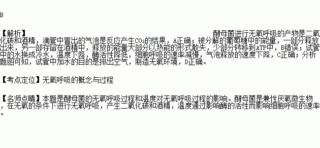 某兴趣小组在室温下进行了酵母菌无氧呼吸的探究实验.