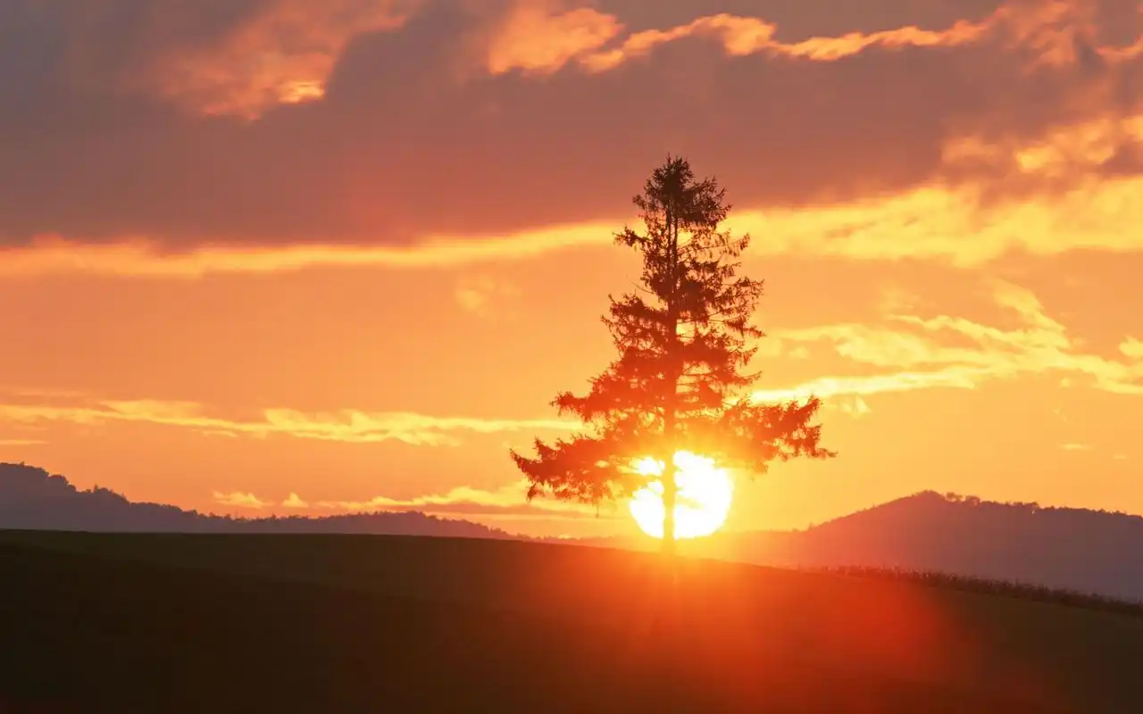 精选唯美夕阳西下图片高清电脑桌面壁纸下载