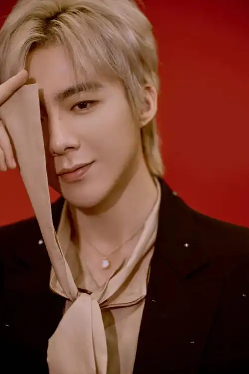 刘宇宁宝曼兰朵卓韵代言人##刘宇宁宁远舟