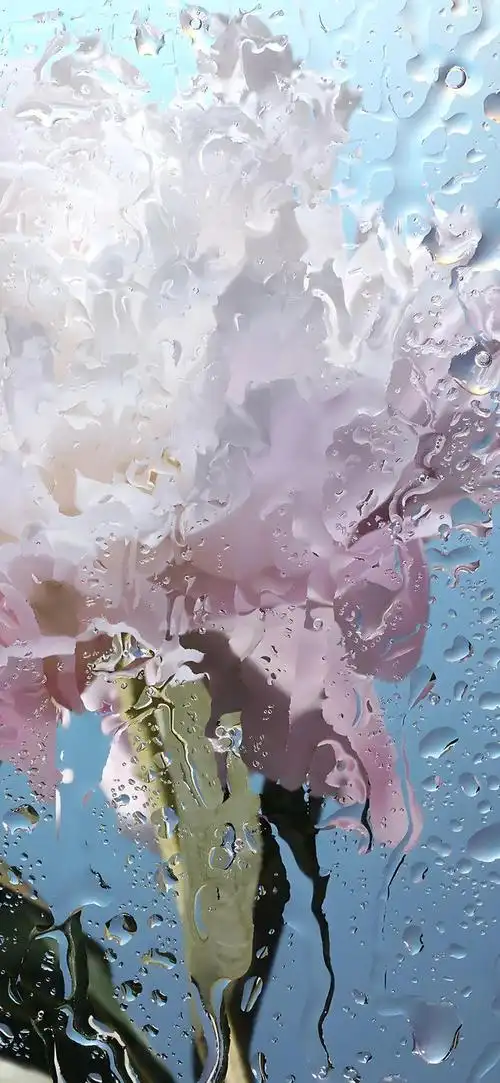 潮流壁纸精选20220425