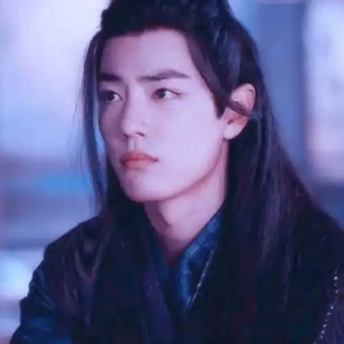 《陈情令》〈肖战-头像〉二传请dt.朝歌