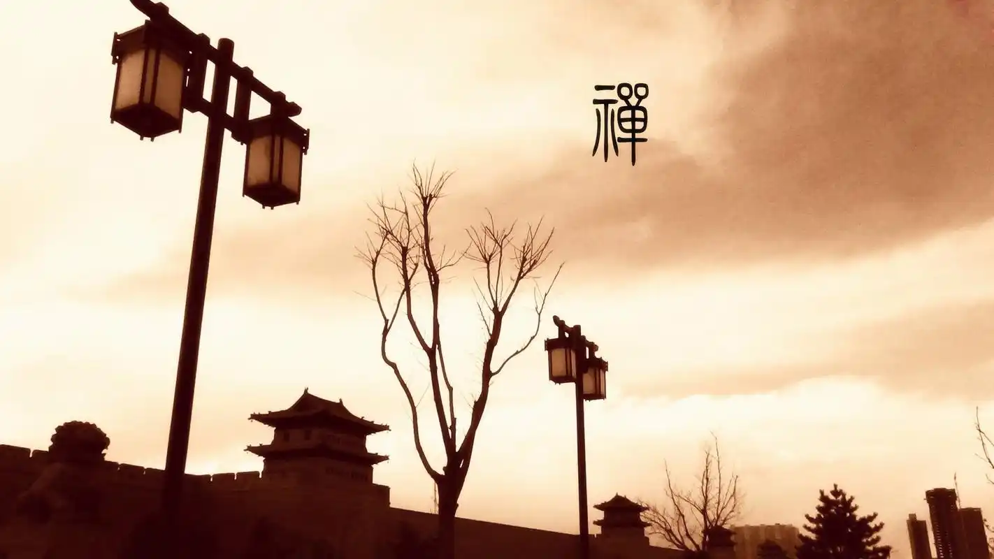 自然风光风景禅意微距摄影意境安静禅意傍晚黄昏风景大片壁纸