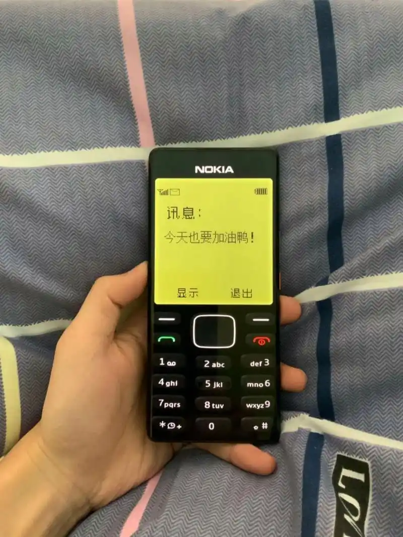 诺基亚# #诺基亚壁纸# #今天也要加油鸭# #手机壁纸