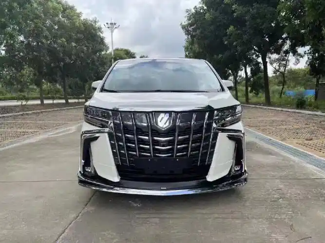 2020款准新【丰田61阿尔法/埃尔法】蒙娜丽莎版v6-3.