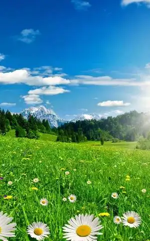 >> 文章内容 >> [自然-初一]可爱的春天 聆听大自然的呼唤600初三答