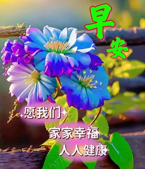早安暖心祝福图片带字带问候语|快乐|早上好|吉祥如意_网易订阅