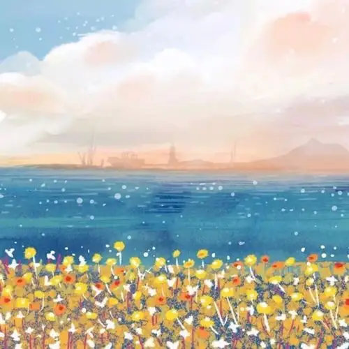 【背景图】ins风 静物 温柔 少女心 舒适 - 堆糖,美图壁纸兴趣社区