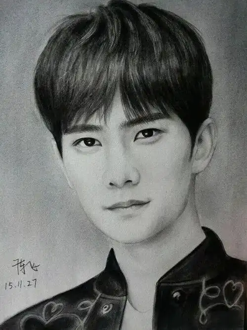 今天看到的一张杨洋素描头像