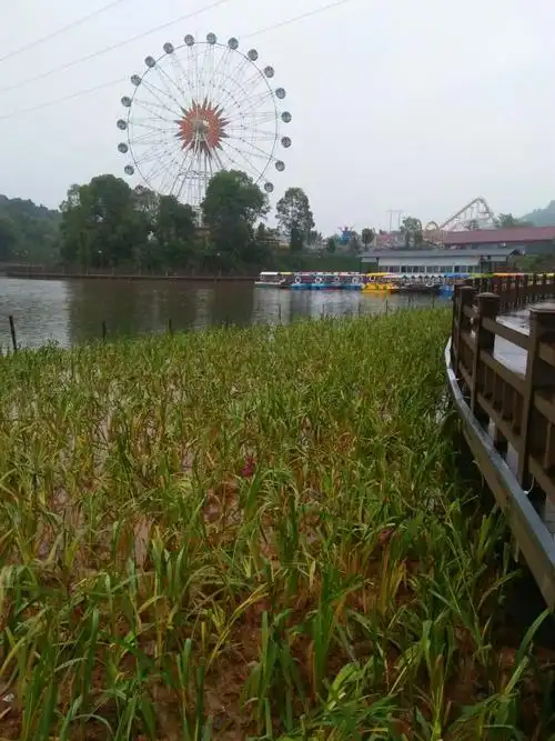 5月8日来宜春北湖公园看看,只一感受,城市的环境都很好,宜春也算个