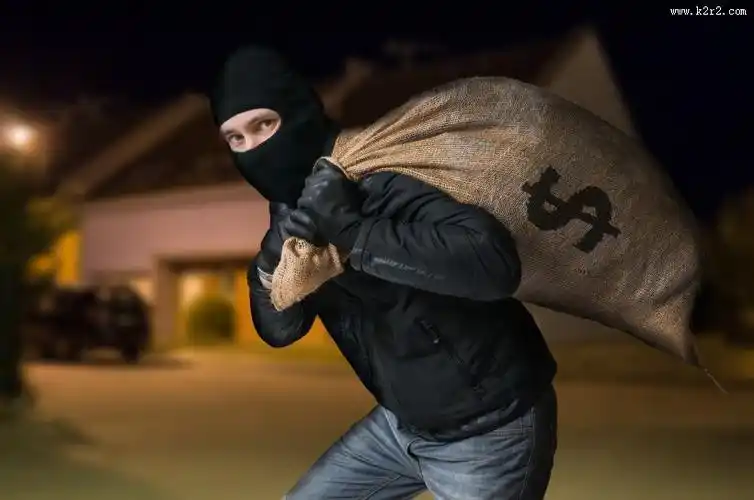 国外盗贼犯罪分子图片第1张