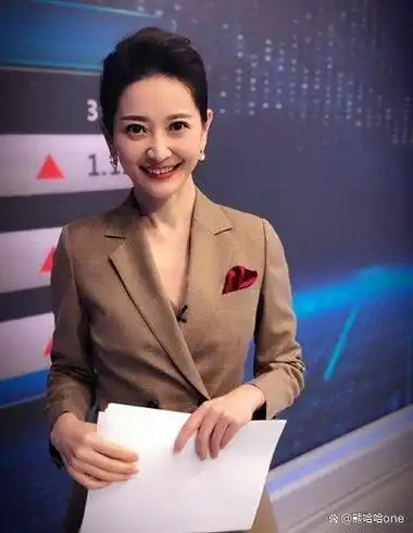 央视十大美女主持人