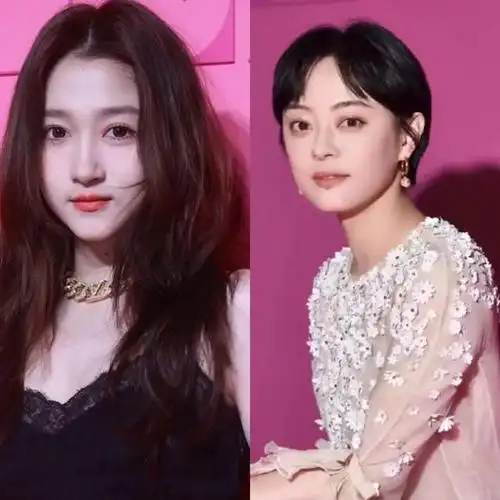 张子枫关晓彤颜值分析(小八卦关晓彤张子枫)(2)