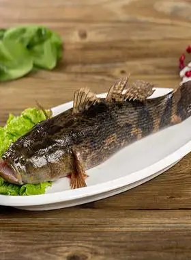 0淘宝店广东 广州去看看百汇鲜坊 海鲜专业户【鲜活笋壳