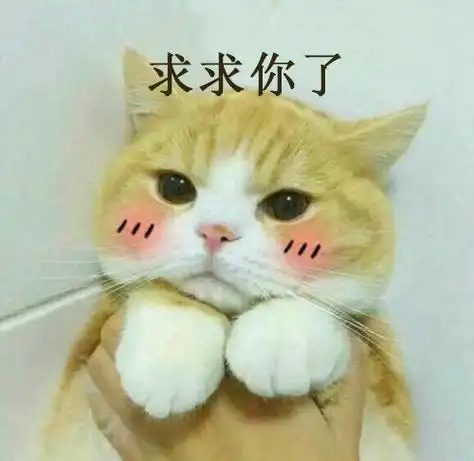 求求你了,猫咪卖萌表情包