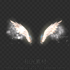 游戏美术资料素材 9套八方向翅膀 光效素材 动画特效序列连帧png-淘宝
