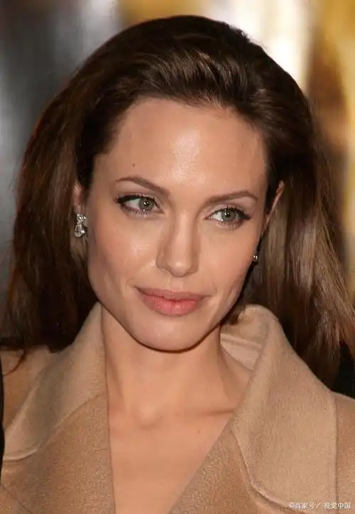 说起美国著名女演员安吉丽娜·朱莉,大家都不会陌生,她以性感的外表和