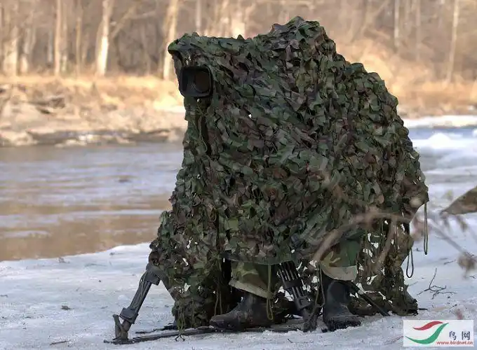 亮招您拍鸟常用的伪装 术,请亮剑! - 第7页 - 器材讨论与测评 equipme