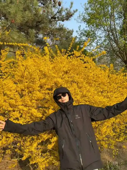 邢昭林r人式露营##见面吧星朋友