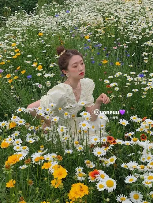 雏菊花海里的丸子头女孩来啦?