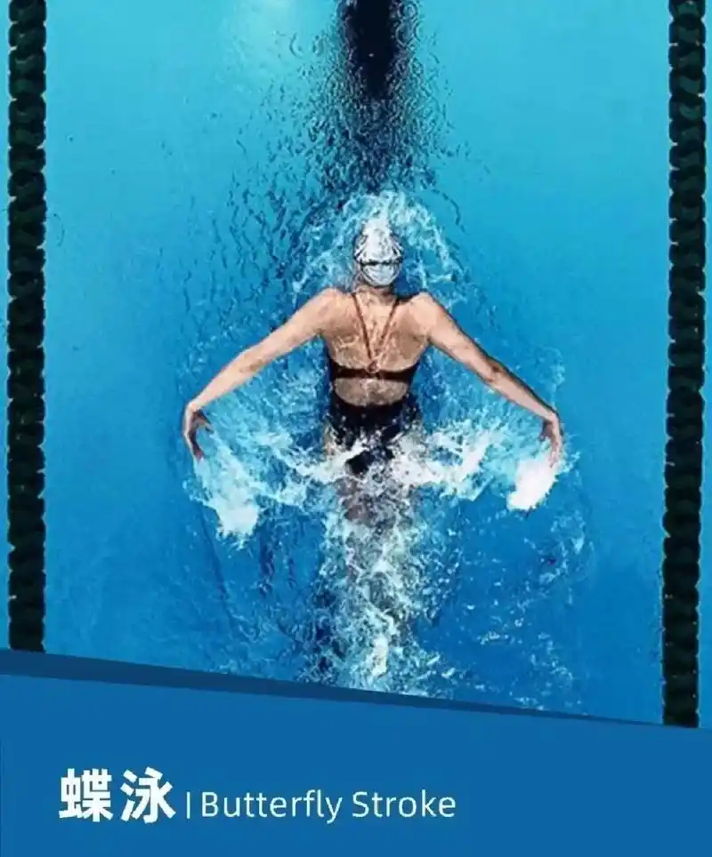 四种泳姿对身体的变化