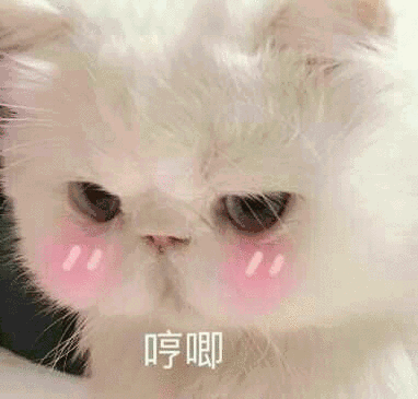 表情包 - 堆糖,美图壁纸兴趣社区