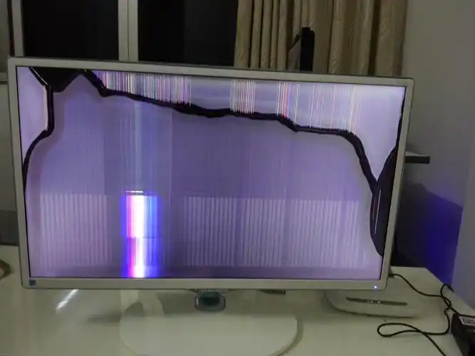 请问下这个液晶显示器哪里坏了?维修需要多少费用?