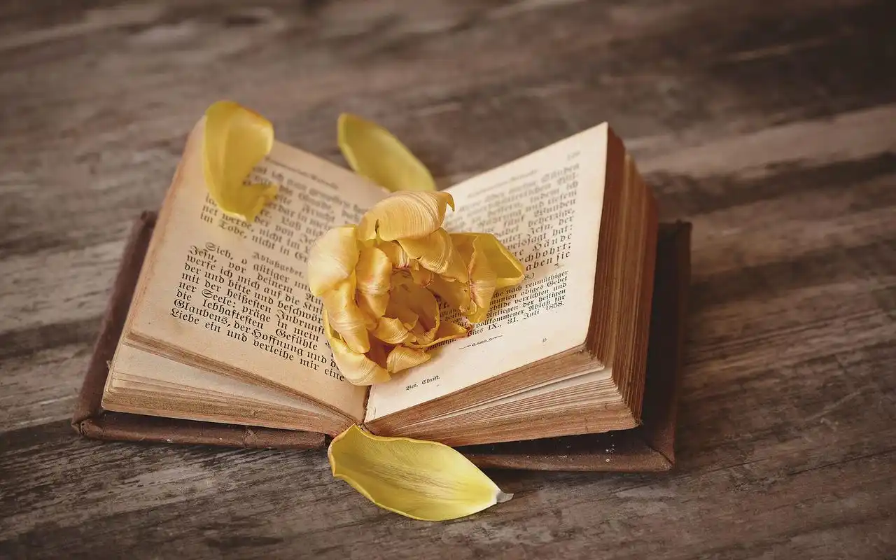 文艺有意境的唯美图片桌面壁纸