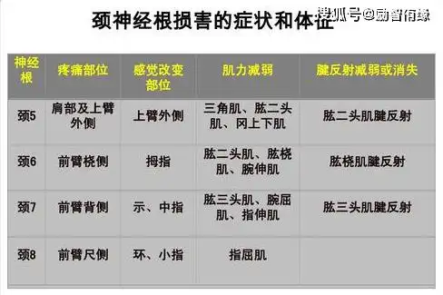 疼痛的症状,而且症状的范围与颈脊神经所支配的区域相一致