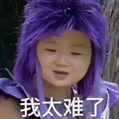 我太难了(宋民国表情包)