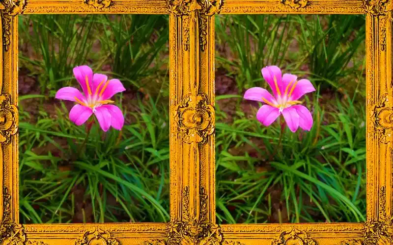 【平行3d】【裸眼3d】唯美风雨兰