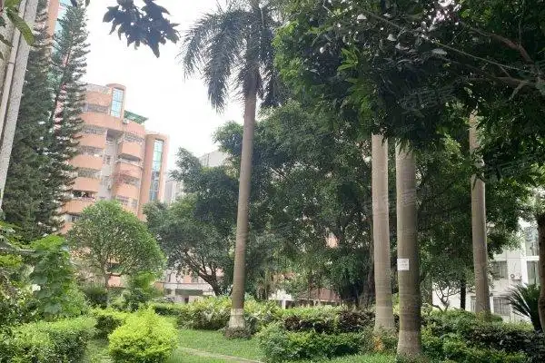 广州小区 番禺小区 汉溪长隆小区 金城花园 金城花园怎么样特色