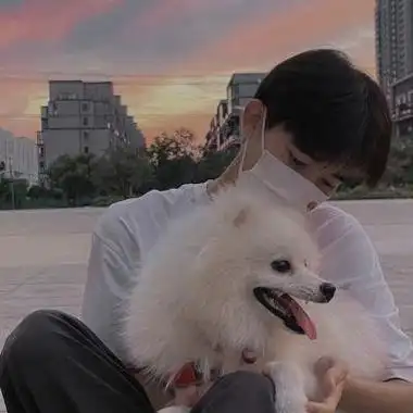 小奶狗头像图片大全可爱 纯欲帅气小奶狗头像