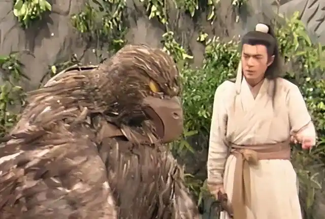 神雕侠侣中,杨过为何要救雕?如果救了怪蛇,武功会不会更高强?