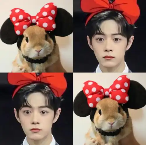 肖战好像长了兔耳朵