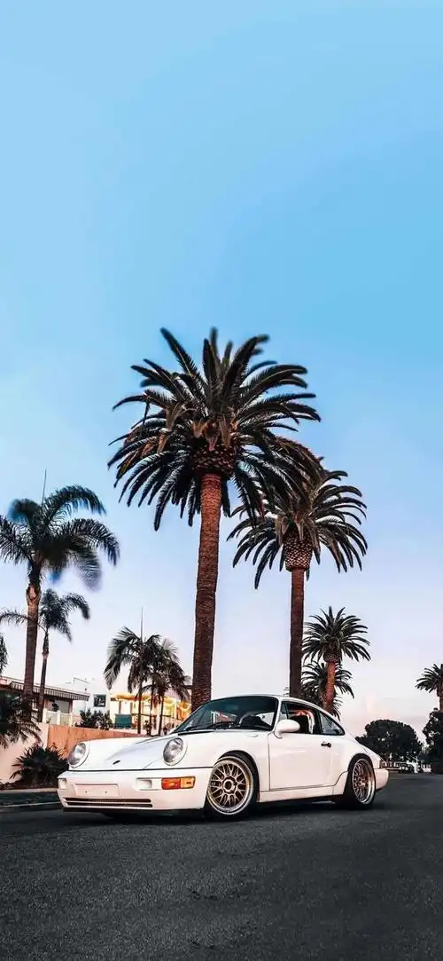 潮流壁纸精选20210614