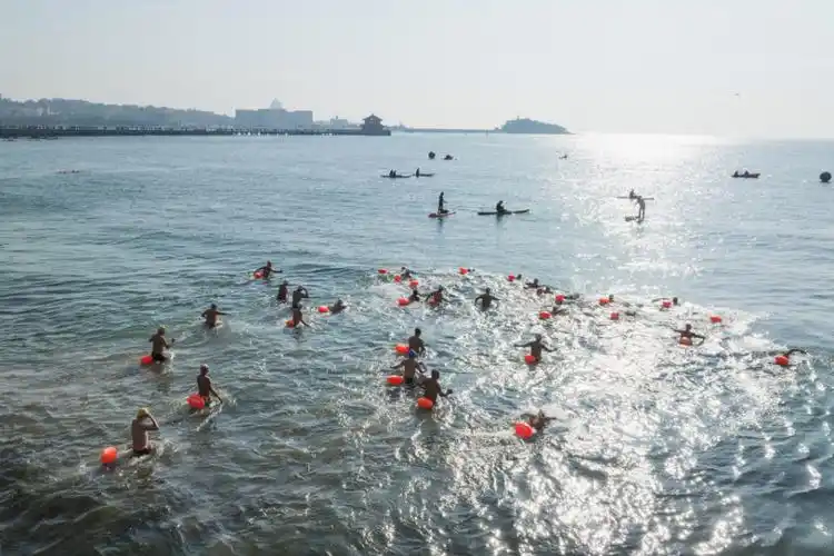 巧克力大爷大妈齐聚栈桥一展冬泳风采